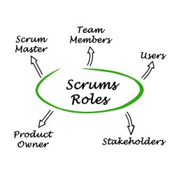 Scrum rollen